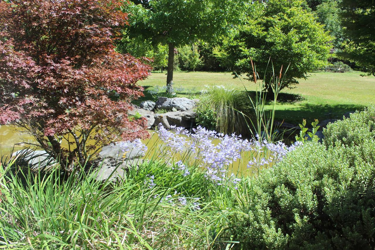 Shamrock Garden B&B Airport Christchurch Exterior foto