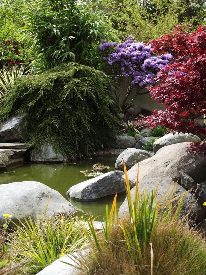 Shamrock Garden B&B Airport Christchurch Exterior foto