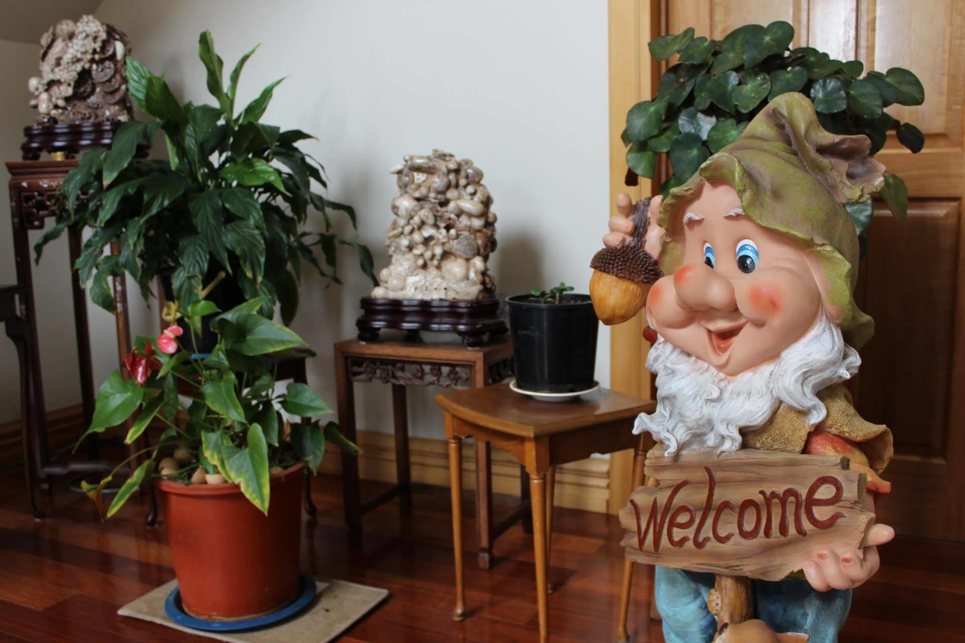 Shamrock Garden B&B Airport Christchurch Exterior foto